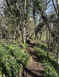 Parc aux Jonquilles