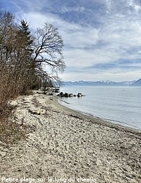 Petite plage entre Préverenges et St-Sulpice