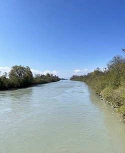 Le Rhône,  vue depuis le pont