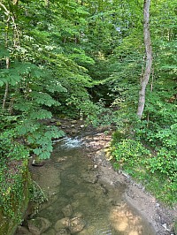 Rivière du Boiron