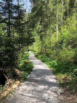 Sentier en direction de la cascade