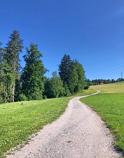 Sentier à droite du lac