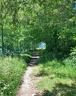 Sentier de la fin de la balade