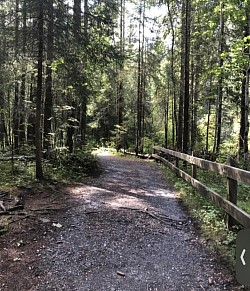 Premier sentier forestier en direction du Droutzay ( à droite de la passerelle d’Aigue-Noire)