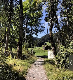 Sortie du premier sentier , ensuite à gauche