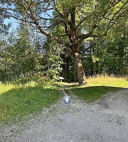 Début du sentier forestier