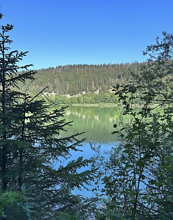 Vue du lac depuis le sentier forestier