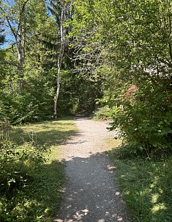 Direction à un deuxième sentier forestier
