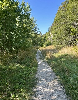 Sentier rejoignant à la passerelle