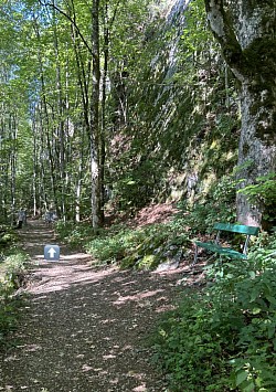 Sentier forestier avec un joli banc et un pont
