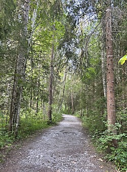 Premier sentier en direction du Droutzay