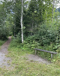 Itinéraire 1 (sentier pierreux)