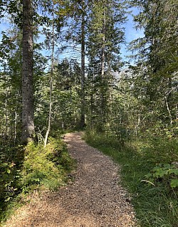 Sentier de la Piste Vita en direction de la place du Droutzay