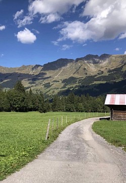 Suite de la balade: chemin du Droutzay