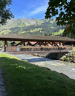 Pont typique des Diablerets sur le sentier au bord de la Grande- Eau en direction de la gare