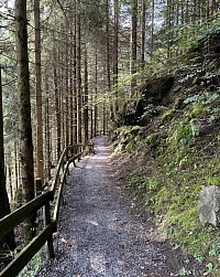 Le chemin des poussettes