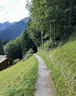 Entrée de l’espace forestier