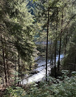 Vue de la Vieze depuis le sentier du chemin des poussettes