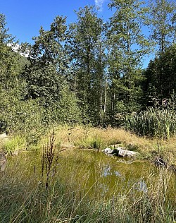 Étang Biotope