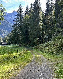 Chemin montant forestier, suite de la balade