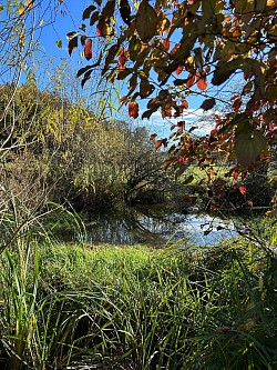 Vue à droite de l’étang