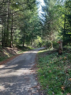 En direction du début parcours officiel