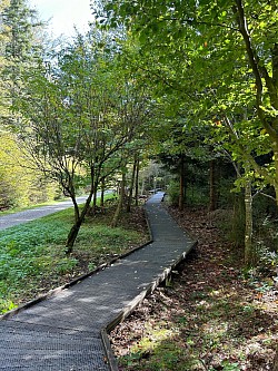 Magnifique sentier