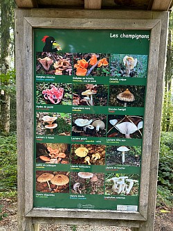 Un des nombreux panneaux qui vous informe sur la faune et la flore