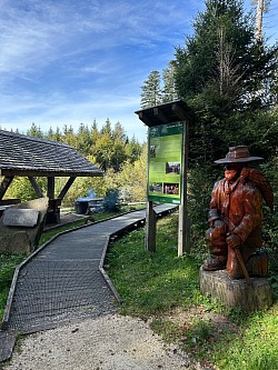 Le bois des brigands sur le parcours