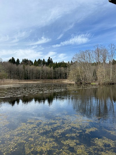 L’étang de la Bressonne