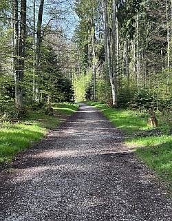 Le début du parcours du chemin des sculptures