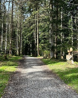 Belle allée sur ce sentier légèrement gravillonné