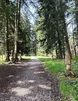 Suite de ce beau chemin