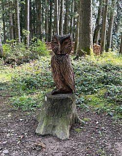 Magnifique chouette sculptée