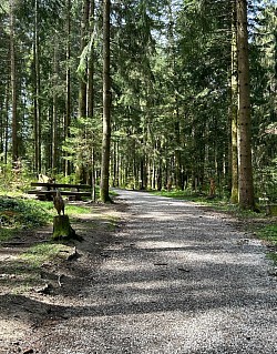 Vue d’un des nombreux emplacement pique-nique