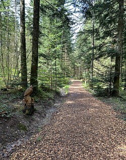 Au bout du chemin faire le retour