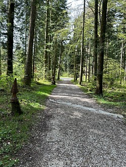 Le chemin de droite d’autres sculptures a découvrir
