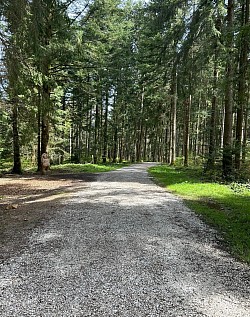 Retour sur le chemin de départ