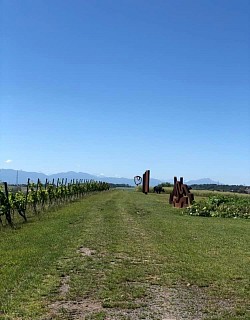 Côté vignes et sculptures