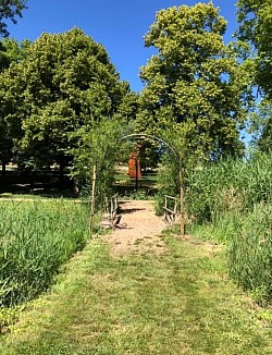 Sentier qui rejoint la forêt enchantée