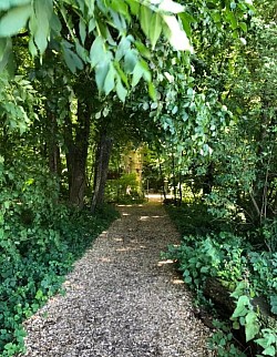 Entrée de la forêt enchantée
