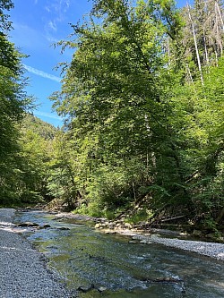 Lit des Gorges de la Jogne