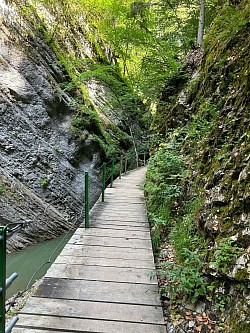 Passerelle enjambant les Gorges