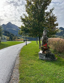 Début du parcours