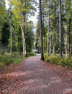 Belle vue du sentier avec les belles couleurs de l’automne