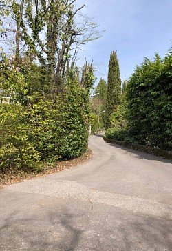 Chemin menant au parcours de la Tour Carrée