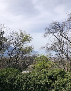 Vue depuis la Tour