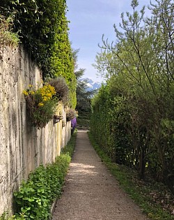 Chemin descendant depuis la Tour