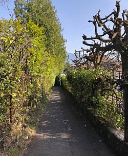 Sentier de l'Empreur