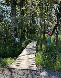 Suivre les passerelles pour atteindre le jardin Instinctif